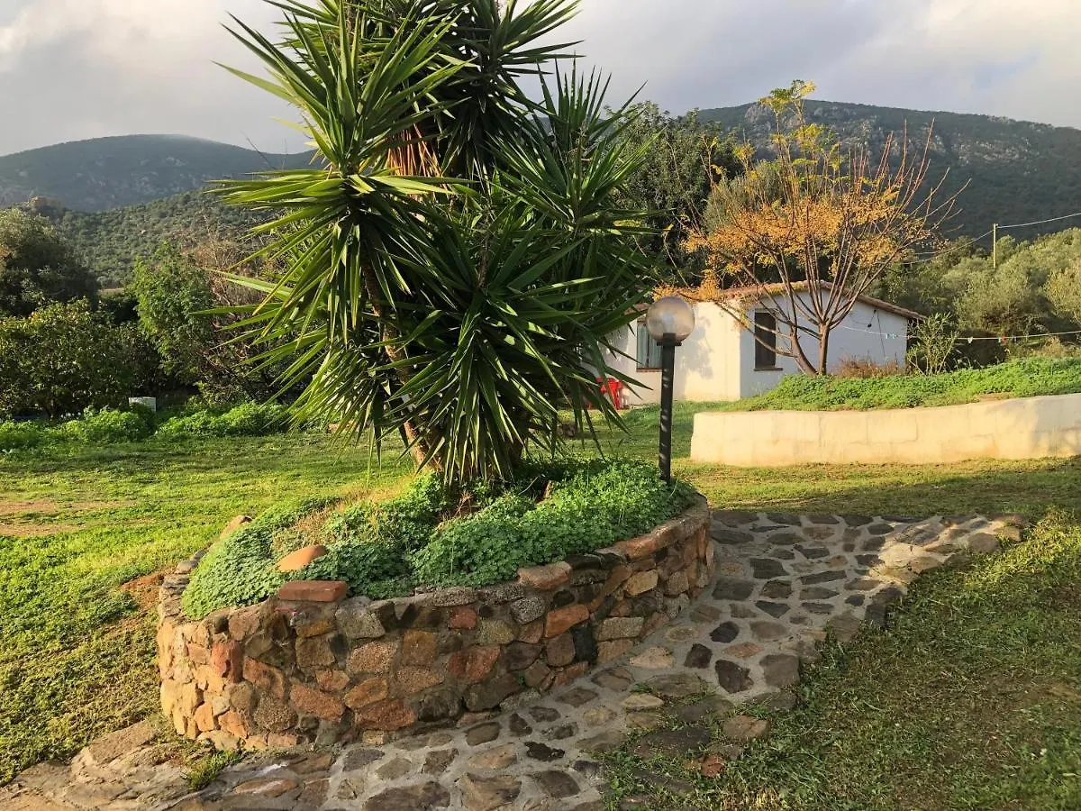 Sarrala Daire Tertenìa